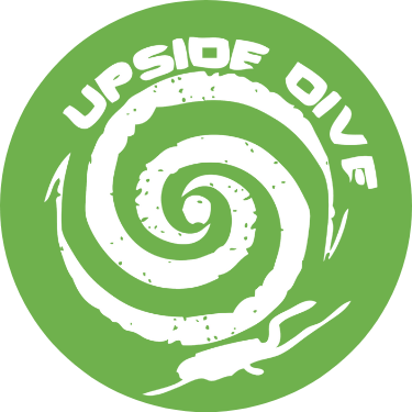 upsidedive_nosybe